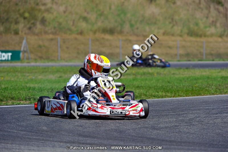 DSC_ (1317).jpg